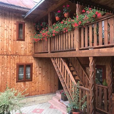 Pensiunea Agroturistica Casa Colinita Vatra Moldoviţei Buitenkant foto