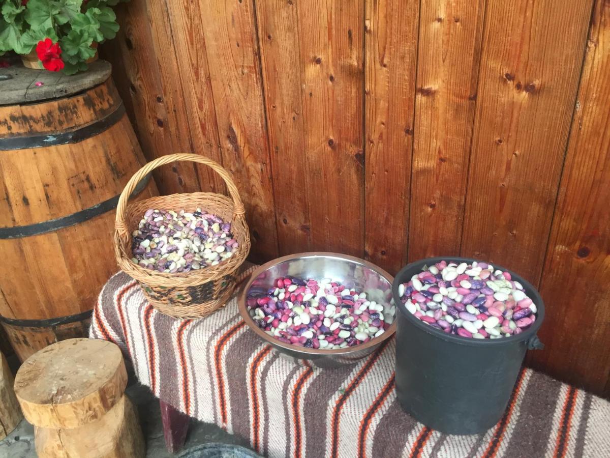 Pensiunea Agroturistica Casa Colinita Vatra Moldoviţei Buitenkant foto
