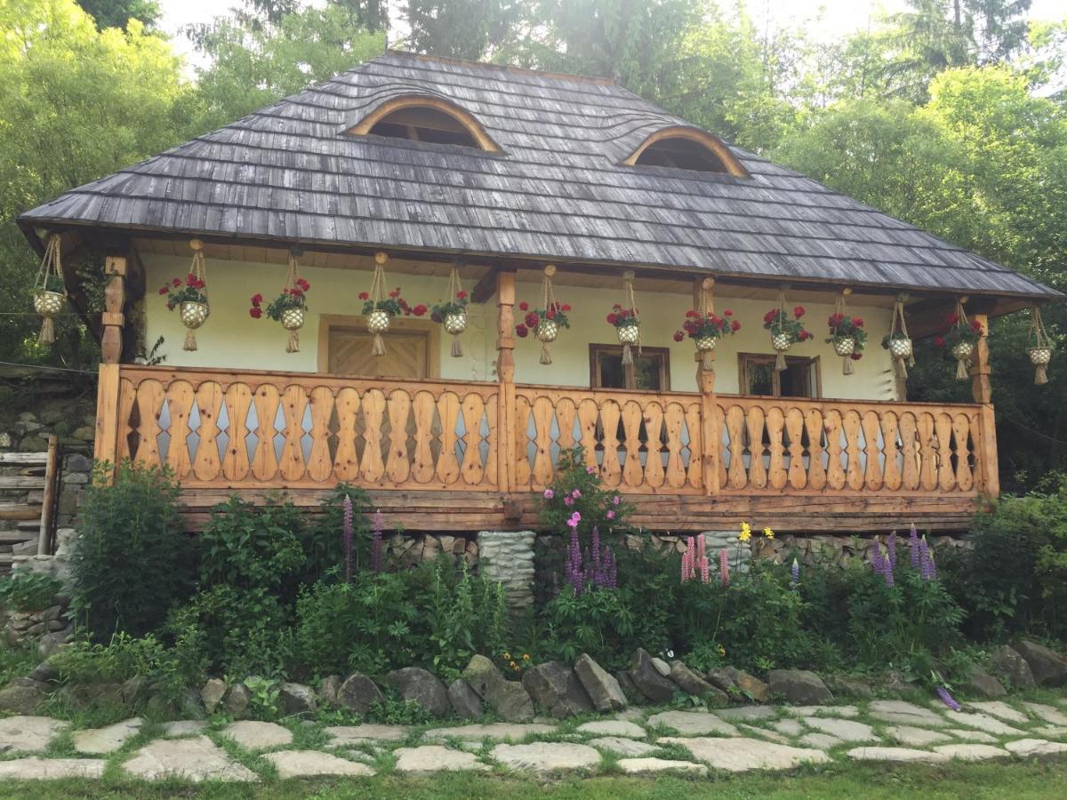 Pensiunea Agroturistica Casa Colinita Vatra Moldoviţei Buitenkant foto
