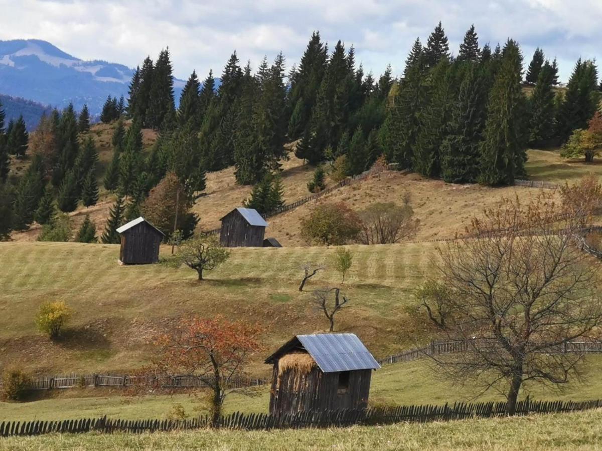 Pensiunea Agroturistica Casa Colinita Vatra Moldoviţei Buitenkant foto