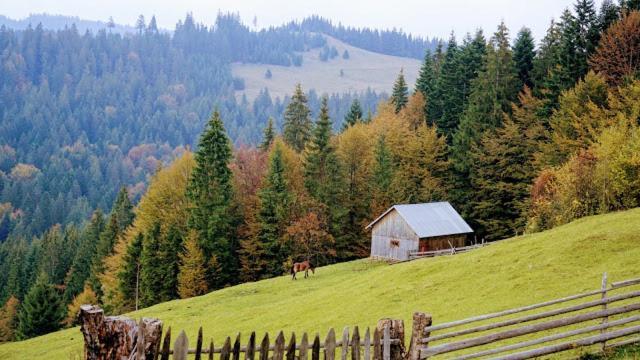 Pensiunea Agroturistica Casa Colinita Vatra Moldoviţei Buitenkant foto