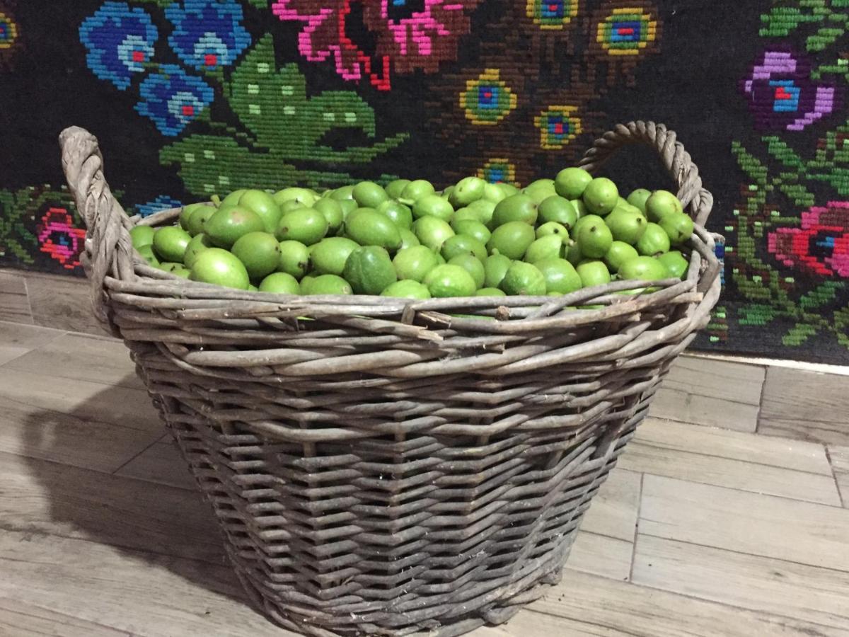 Pensiunea Agroturistica Casa Colinita Vatra Moldoviţei Buitenkant foto