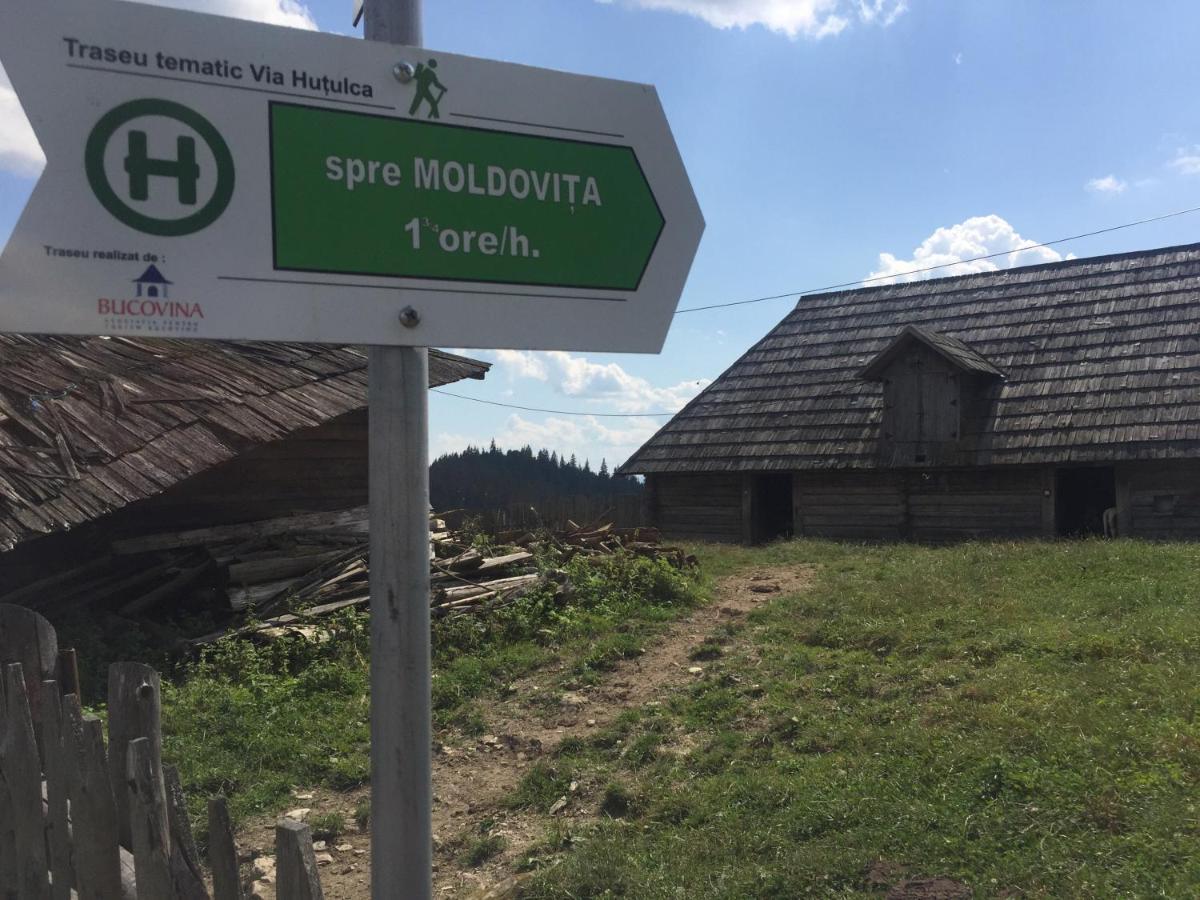 Pensiunea Agroturistica Casa Colinita Vatra Moldoviţei Buitenkant foto