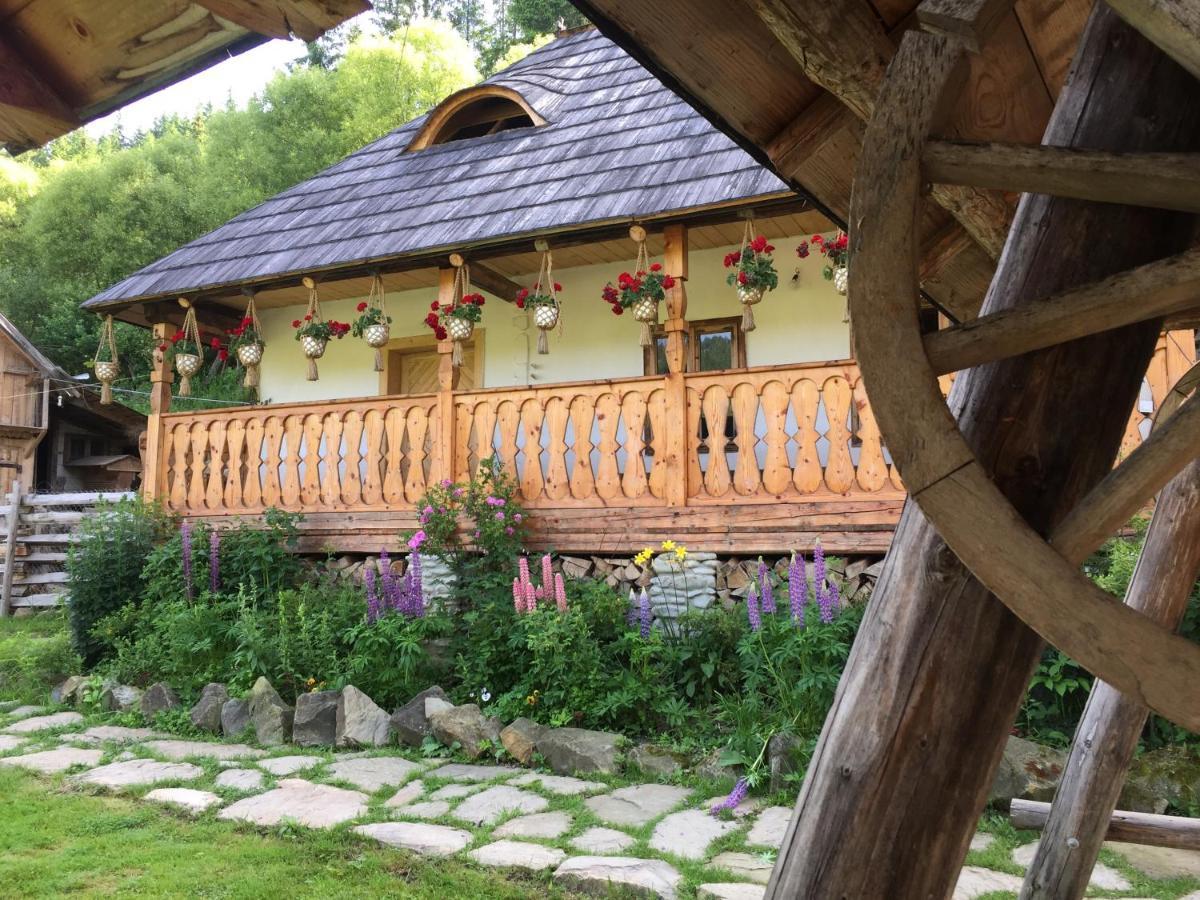 Pensiunea Agroturistica Casa Colinita Vatra Moldoviţei Buitenkant foto