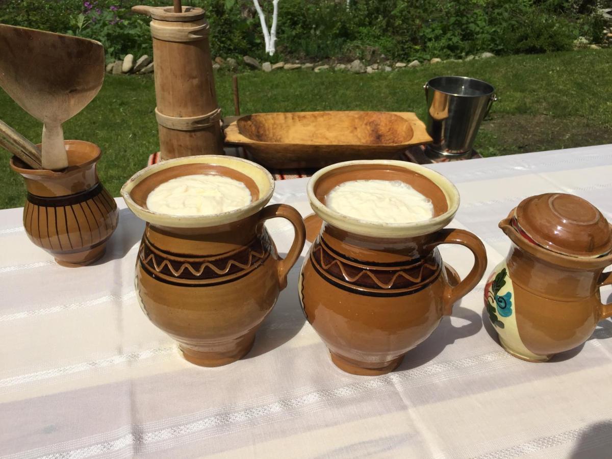 Pensiunea Agroturistica Casa Colinita Vatra Moldoviţei Buitenkant foto