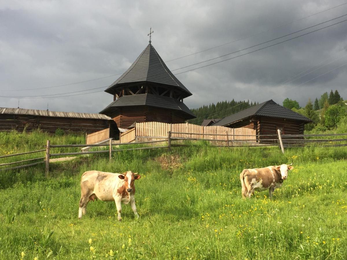 Pensiunea Agroturistica Casa Colinita Vatra Moldoviţei Buitenkant foto