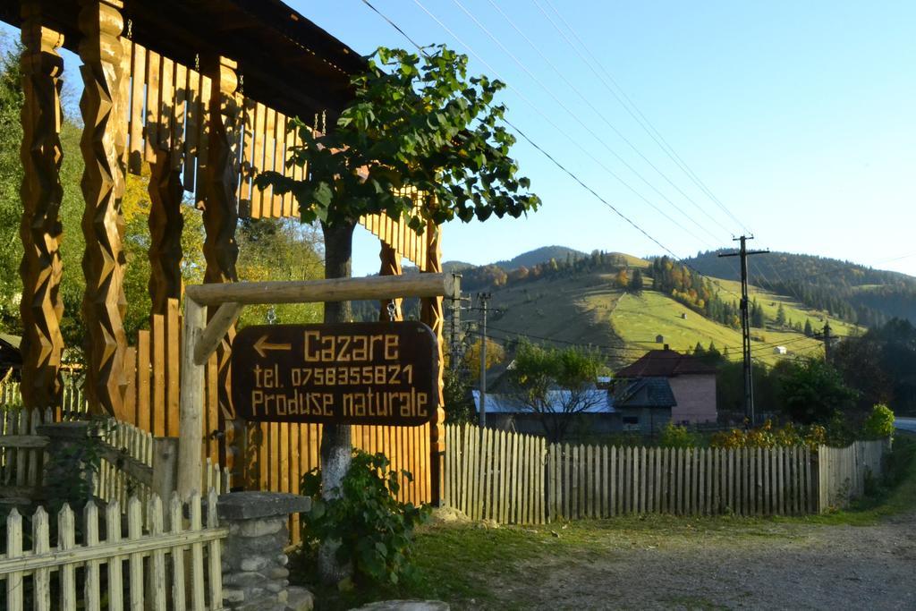 Pensiunea Agroturistica Casa Colinita Vatra Moldoviţei Buitenkant foto