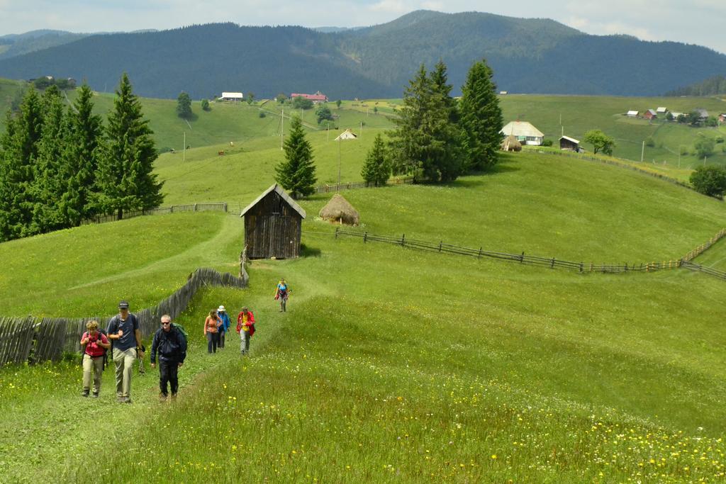 Pensiunea Agroturistica Casa Colinita Vatra Moldoviţei Buitenkant foto