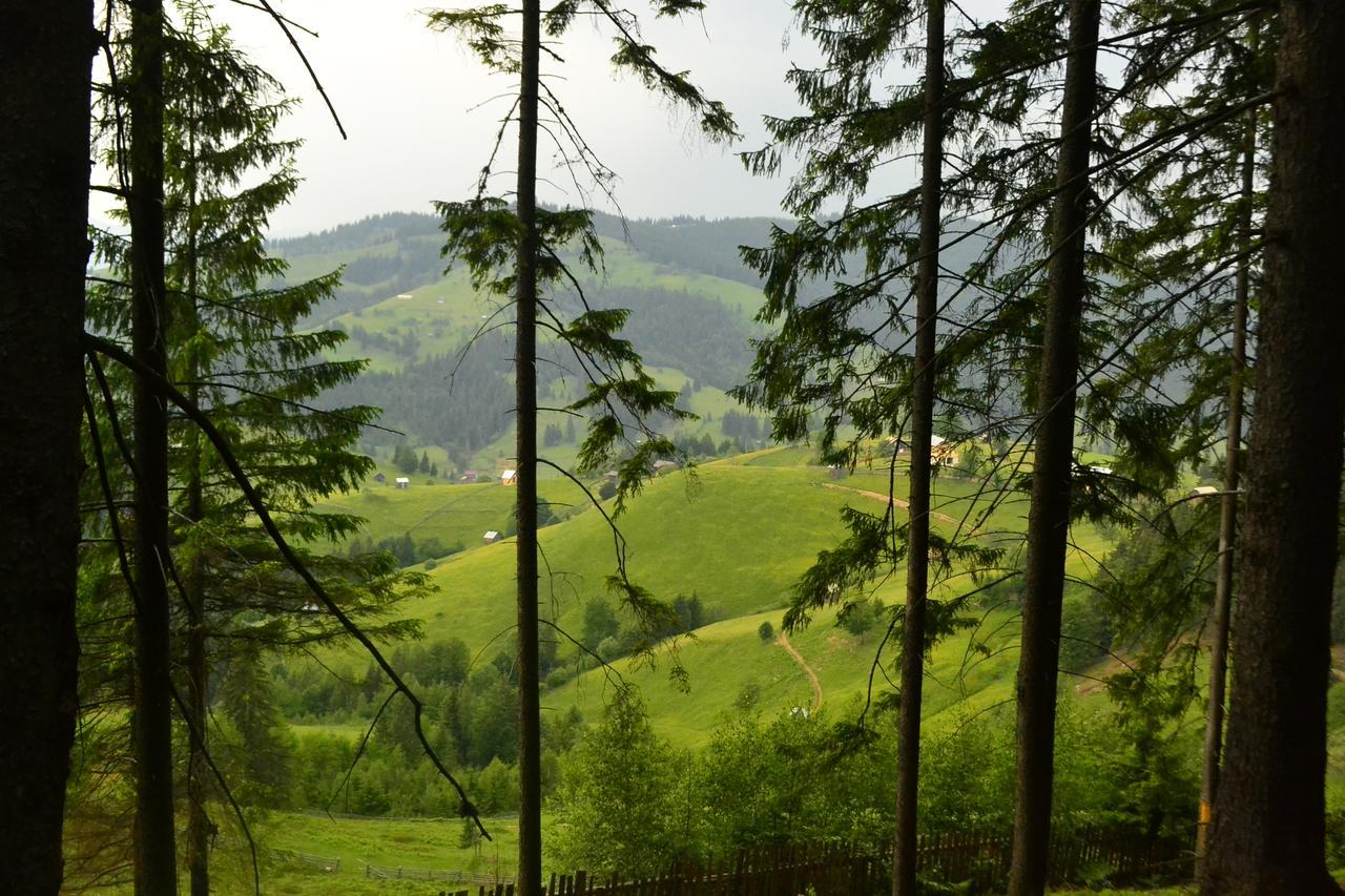 Pensiunea Agroturistica Casa Colinita Vatra Moldoviţei Buitenkant foto