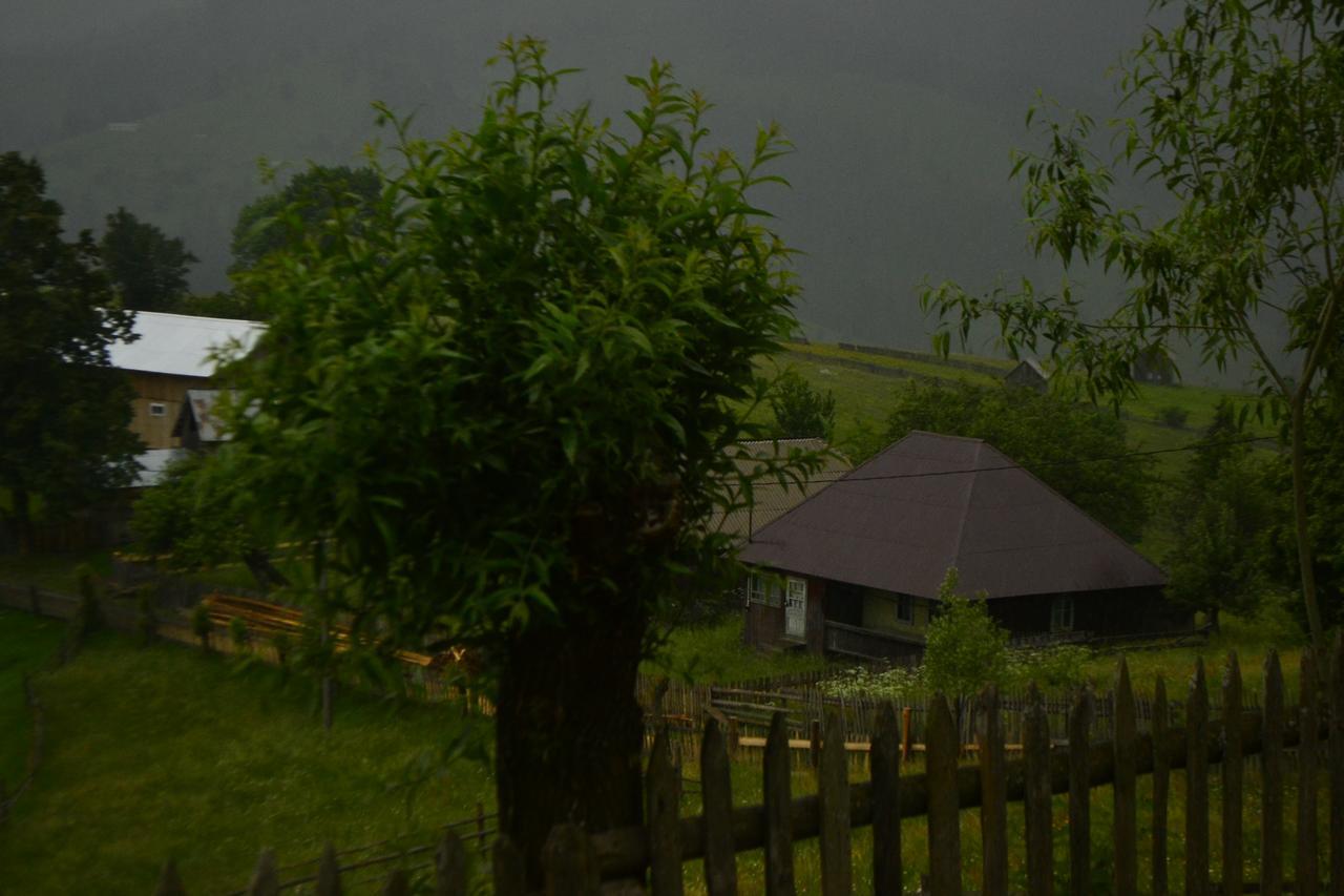 Pensiunea Agroturistica Casa Colinita Vatra Moldoviţei Buitenkant foto
