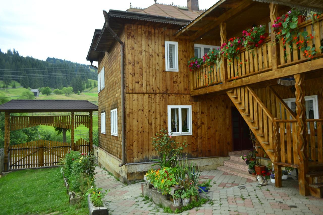 Pensiunea Agroturistica Casa Colinita Vatra Moldoviţei Buitenkant foto